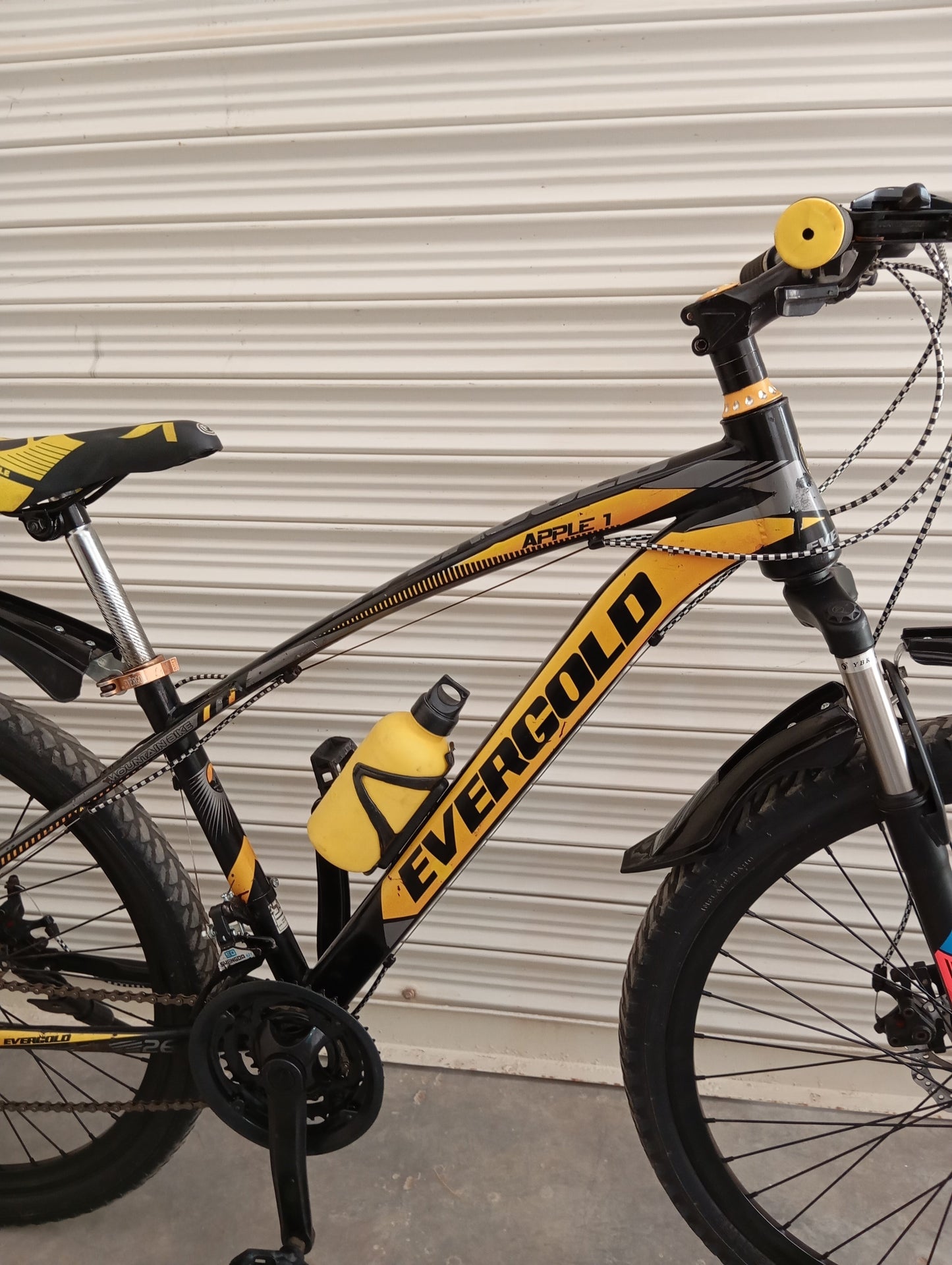 BICYCLE 26 Size Ever Gold Original