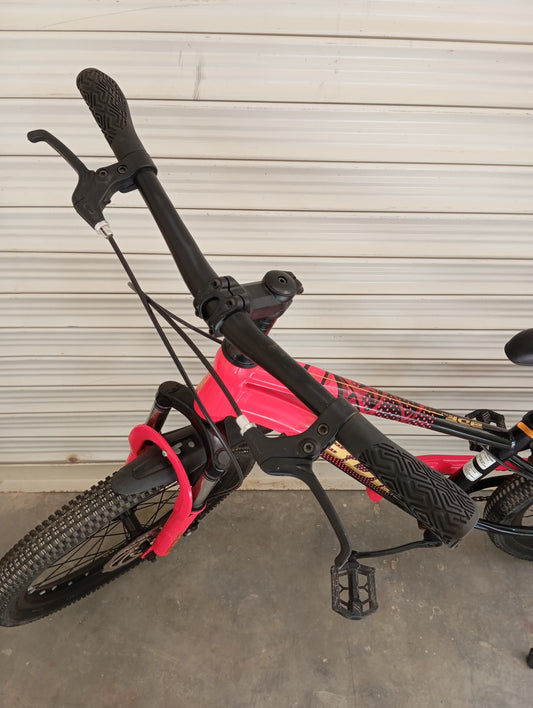 BICYCLE 20 Size (BDF Original)