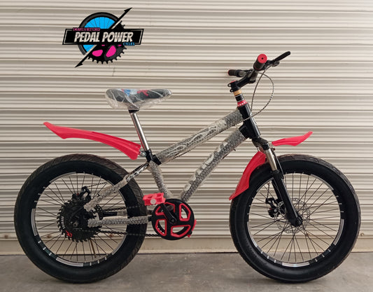 BICYCLE 20 Size With Gears and Jumps