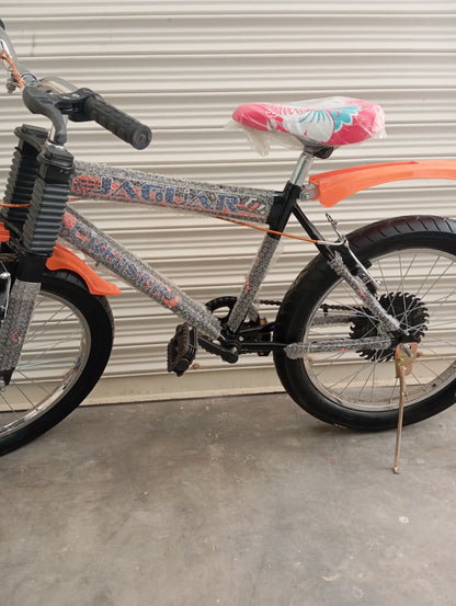 BICYCLE 20 Size
