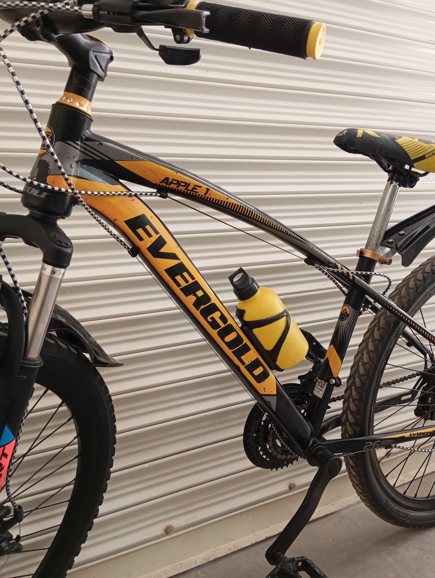 BICYCLE 26 Size Ever Gold Original