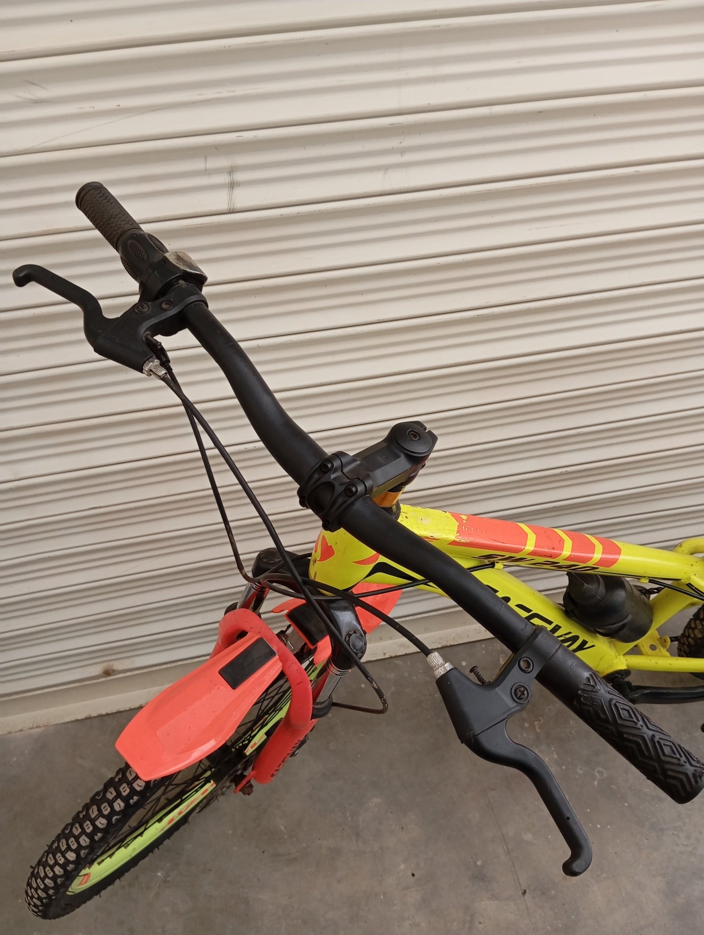 BICYCLE 22 Size (Safe Way Original)