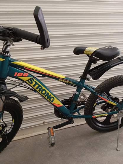 BICYCLE 20 Size Strong Original