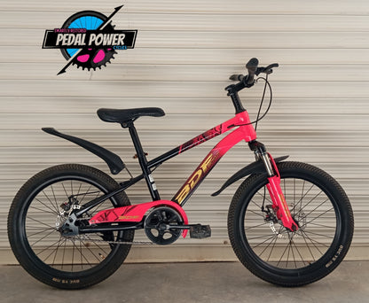 BICYCLE 20 Size (BDF Original)