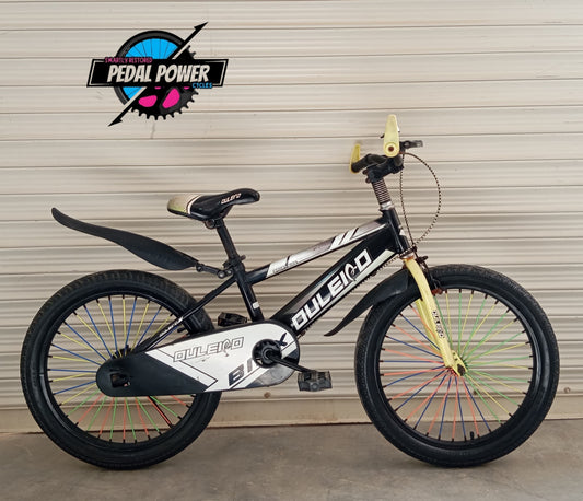 BICYCLE 20 Size (DULEHO Original)