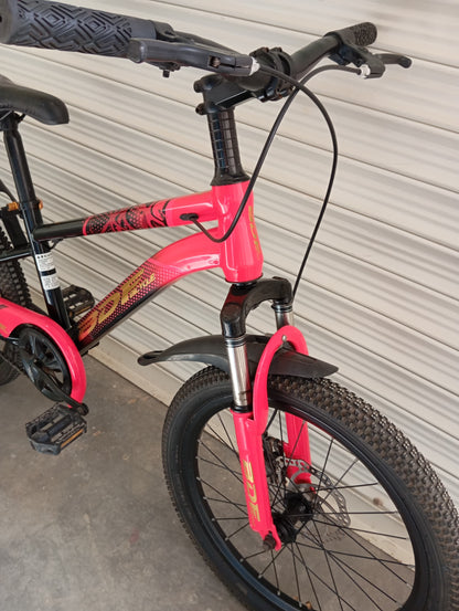 BICYCLE 20 Size (BDF Original)