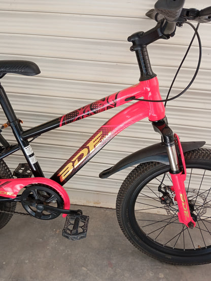 BICYCLE 20 Size (BDF Original)