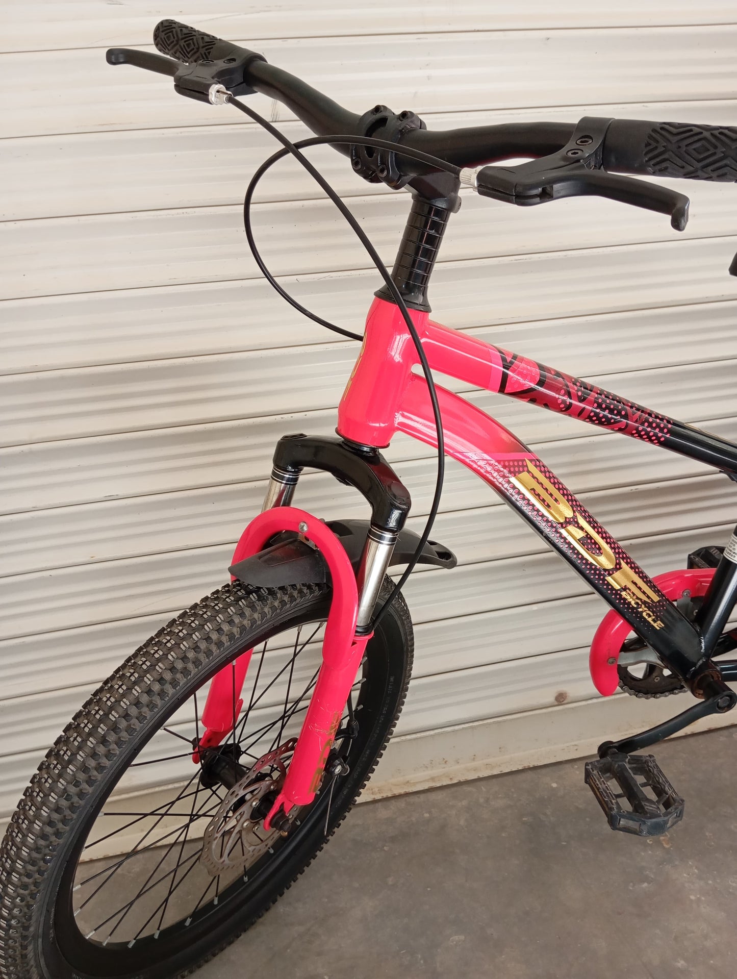 BICYCLE 20 Size (BDF Original)