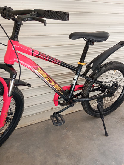 BICYCLE 20 Size (BDF Original)