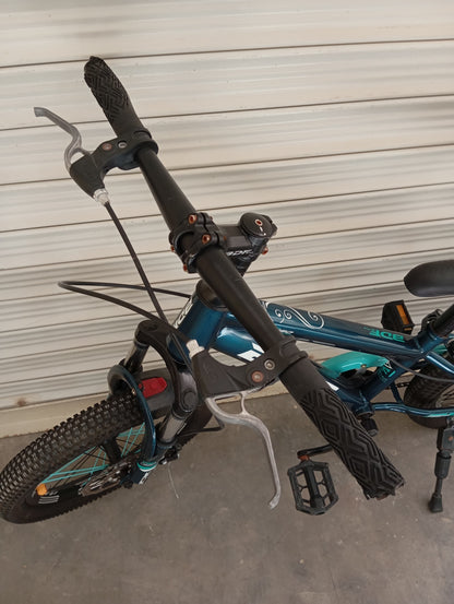 BICYCLE 16 Size (BDF 2025 Original)