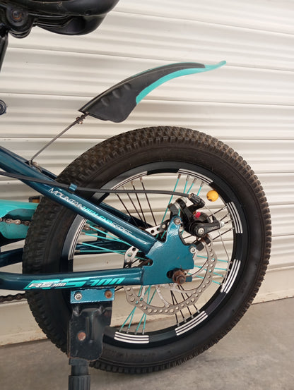 BICYCLE 16 Size (BDF 2025 Original)