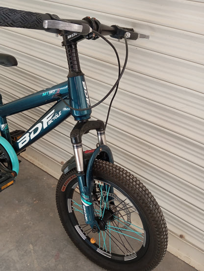 BICYCLE 16 Size (BDF 2025 Original)